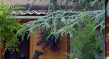 Auberge terrasse