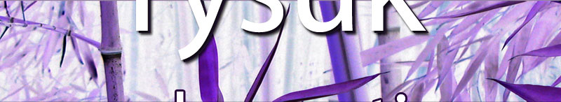 rysuk Web Creation - bamboo