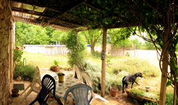 the terrace