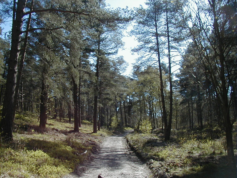 approaching the top from Boarden Door Bottom