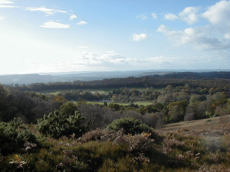  southwest blackdown