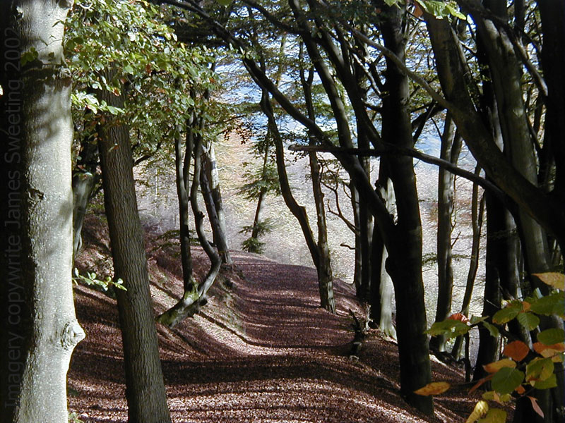 beach hanger southeast blackdown