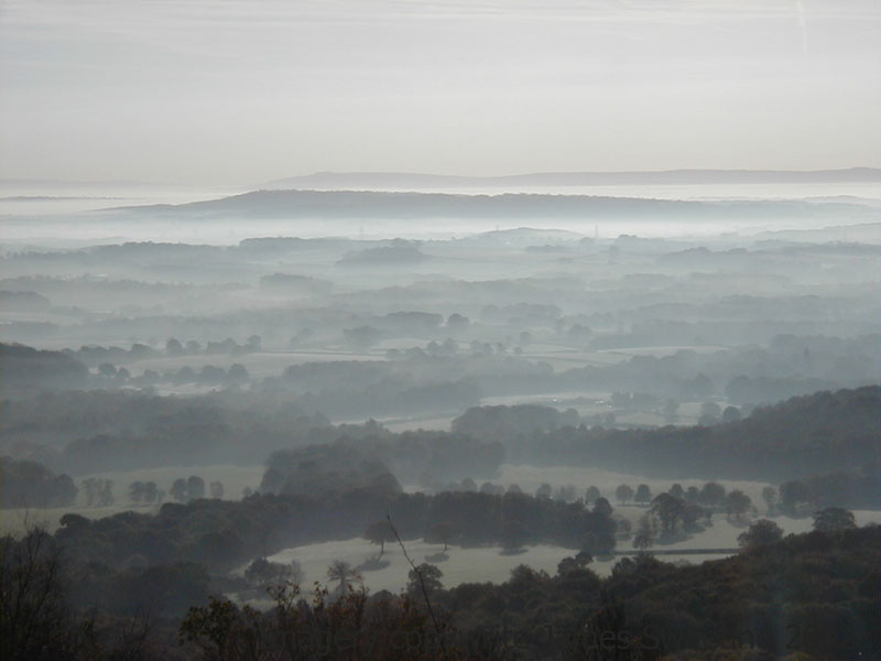 view from blackdown south