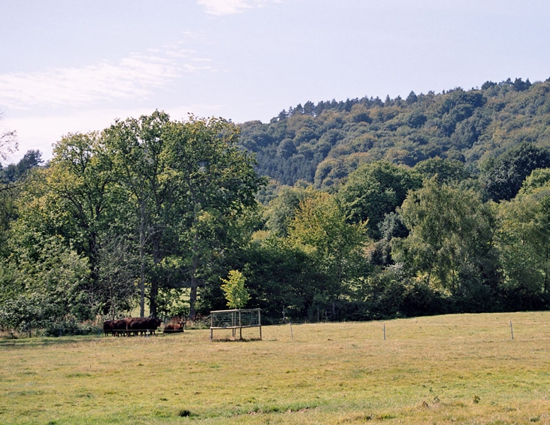 view of Black Down from Roundhurst Farm